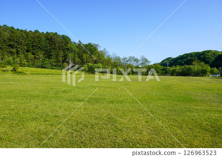 Early summer at Crawford Park Early summer at Crawford Park 126963523