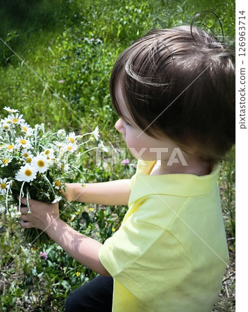 A beautiful child in a summer forest with a bouquet of daisies. A bouquet of wildflowers. Happy childhood. cute boy in a spring forest with daisies. A beautiful child in a summer forest with a bouquet of daisies. A bouquet of wildflowers. Happy childhood. cute boy in a spring forest with daisies. 126963714