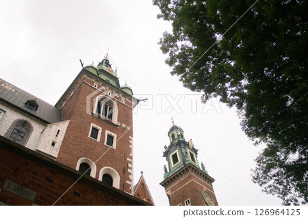 波蘭克拉科夫的瓦維爾大教堂 126964125