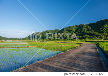 Rural landscape of Minowa farmland, rice field scenery, rural scenery Rural landscape of Minowa farmland, rice field scenery, rural scenery 126964276