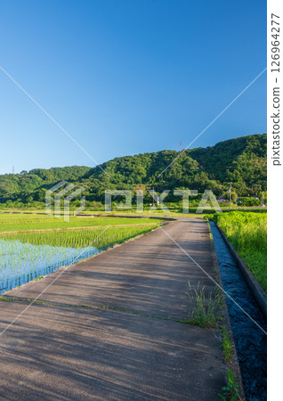 三之輪農田的鄉村風景，稻田風景，鄉村風景 126964277
