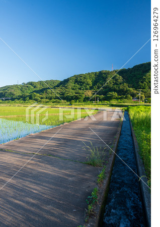 Rural landscape of Minowa farmland, rice field scenery, rural scenery Rural landscape of Minowa farmland, rice field scenery, rural scenery 126964279