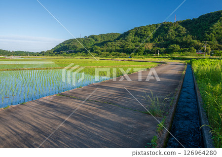 Rural landscape of Minowa farmland, rice field scenery, rural scenery 126964280