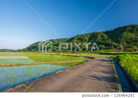 三之輪農田的鄉村風景，稻田風景，鄉村風景 126964281