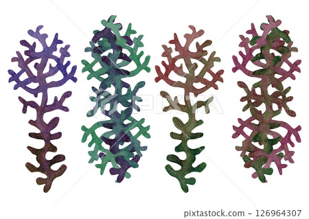 Set of fire coral, inhabitant of coral reefs. Watercolor illustration of multicolored reticulated fire coral isolated on white background for marine design, snorkeling, diving, book, craft, textile. Set of fire coral, inhabitant of coral reefs. Watercolor illustration of multicolored reticulated fire coral isolated on white background for marine design, snorkeling, diving, book, craft, textile. 126964307