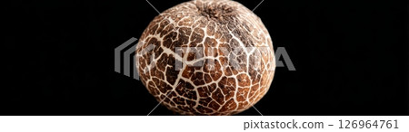 Top-down macro of black truffle surface showing intricate organic texture and detailed pattern Top-down macro of black truffle surface showing intricate organic texture and detailed pattern 126964761
