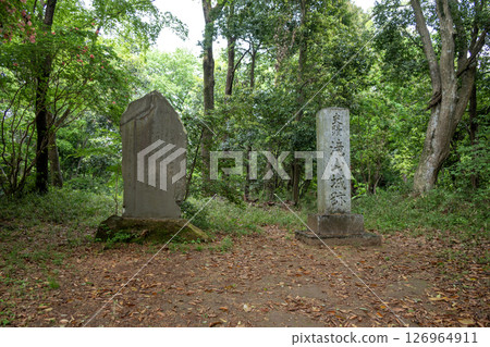 Takiyama Castle: Stone monument erected at the site of the main citadel 126964911