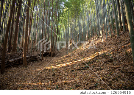 瀧山城：小宮庫魯瓦周圍的乾護城河 126964916