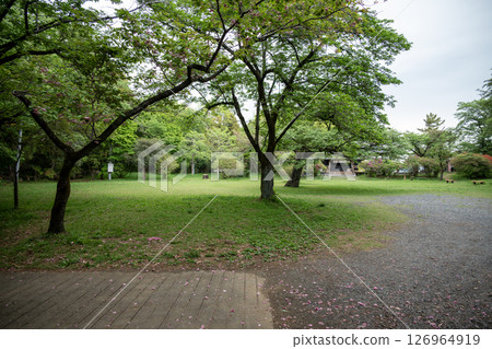 Takiyama Castle - Nakanomaru ruins 126964919