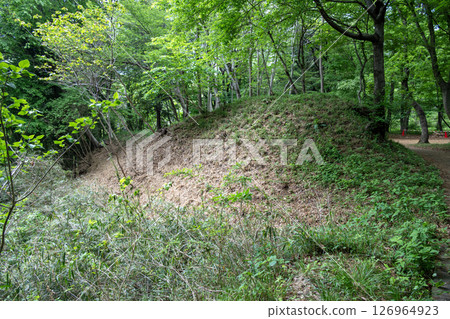 Takiyama Castle: Massive earthworks remaining at the site of the Ninomaru Takiyama Castle: Massive earthworks remaining at the site of the Ninomaru 126964923