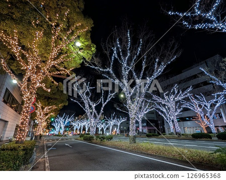 Wakayama City Keyaki Street Illumination 126965368