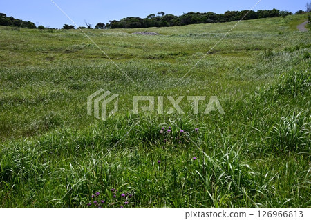 七釜、七釜花園、屋形石七釜（佐賀縣） 126966813