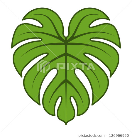 Tropical monstera leaf vector illustration Tropical monstera leaf vector illustration 126966930