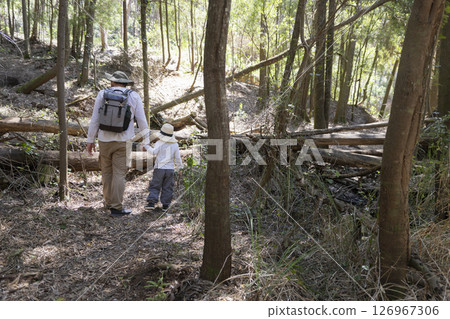 Father and son hiking through sunny forest trail, embracing nature's beauty 126967306