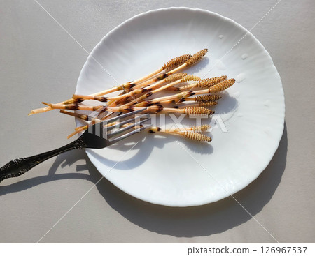 On a white plate with a fork lies horsetail, a perennial herbaceous plant with brown stems. 126967537