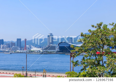 Kobe cityscape in early summer (Chuo-ku, Kobe, Hyogo Prefecture) 126967598