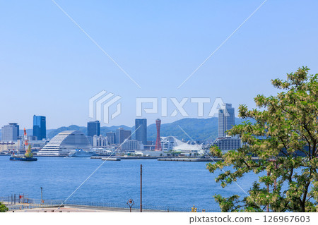 神戶的初夏(兵庫縣神戶市中央區) 神戶的初夏(兵庫縣神戶市中央區) 126967603