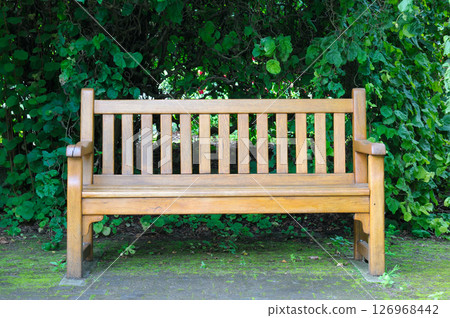 wooden decorative bench in a city park against the backdrop of trees. wooden decorative bench in a city park against the backdrop of trees. 126968442