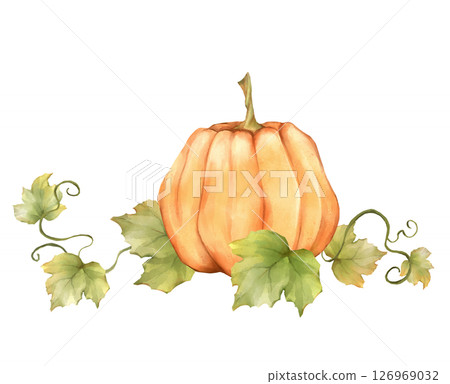 Hand-drawn Orange Pumpkin illustration with Leaves 126969032