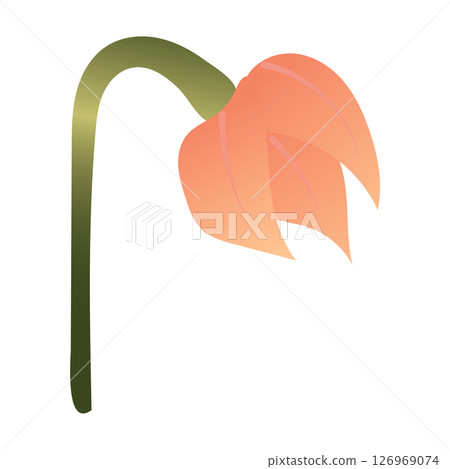 Simple cute light pink flower. Vector illustration isolated on white background. 126969074