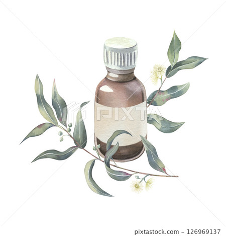 Eucalyptus branches with leaves, shoots and buds, glass bottle of essential oil with blank label, watercolor isolated on white. Botanical illustration of medicinal herbs hand drawn for aromatherapy 126969137