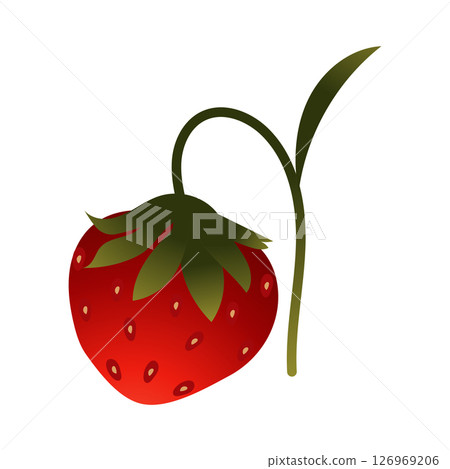Strawberry. Ripe red berry close-up. Vector illustration isolated on white background. 126969206
