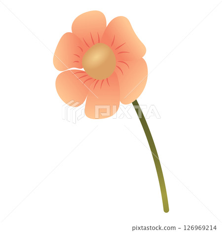 Simple cute light pink flower. Vector illustration isolated on white background. Simple cute light pink flower. Vector illustration isolated on white background. 126969214