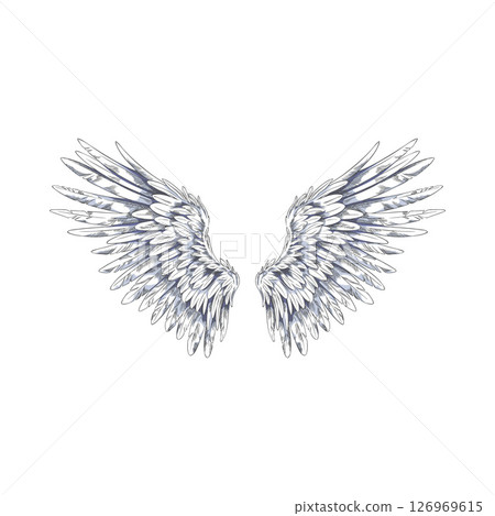Angel wings sketch, spread white wings, pair of heraldic wings bird winged feathers vector hand drawn illustration Angel wings sketch, spread white wings, pair of heraldic wings bird winged feathers vector hand drawn illustration 126969615