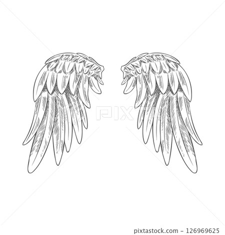 Angel wings sketch, pair of ink heraldic wings bird winged feathers down side, vector engraved hand drawn heaven symbol 126969625