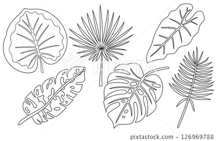 Tropical Leaf Outline Collection. Editable stroke. Vector Set of Exotic Jungle Plant Leaves, Line Art, Palm, Monstera, Banana, Botanical Elements, Coloring Page, Black and White, Isolated Clipart 126969788