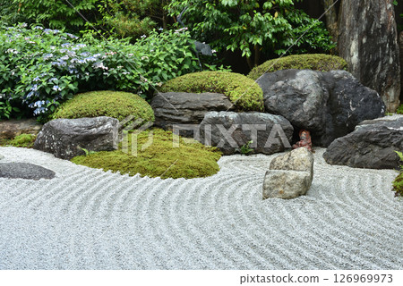 Reigen-in Temple Garden: Kakumei Kyuko: Bodhidharma and sweet tea (Higashiyama Ward, Kyoto City) 126969973