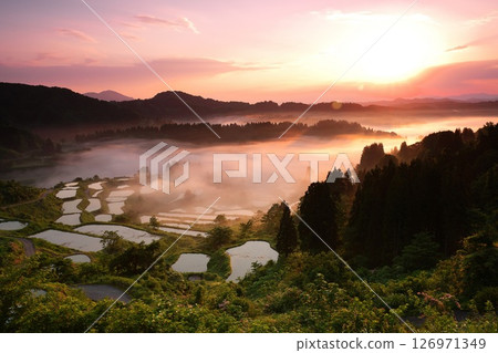 2025年Touge梯田 126971349