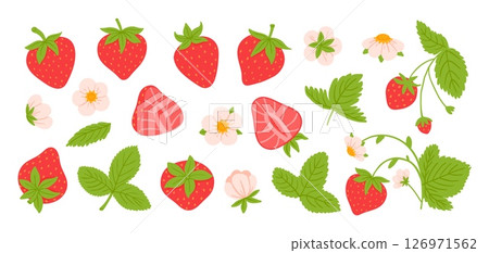Cartoon strawberry. Red seasonal berry. Organic fruit in heart-shaped body, tiny yellow seed, green leafy cap, leaves, bloom flower. Summer sliced strawberry. Natural product vector set 126971562