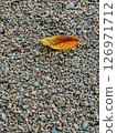 Yellow Leaf on Gravel Texture with Earthy Autumn Tones and Minimalist Natural Background Ideal for Seasonal Use Yellow Leaf on Gravel Texture with Earthy Autumn Tones and Minimalist Natural Background Ideal for Seasonal Use 126971712