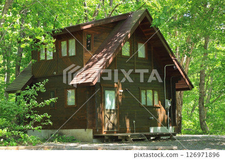 Villa in the forest 126971896