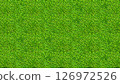 Green grass texture for background. Green lawn pattern and texture background. Close-up. 126972526