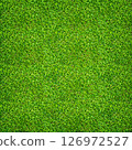 Green grass texture for background. Green lawn pattern and texture background. Close-up. 126972527