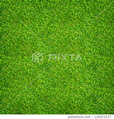 Green grass texture for background. Green lawn pattern and texture background. Close-up. Green grass texture for background. Green lawn pattern and texture background. Close-up. 126972527