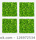 Set of green grass. Realistic green lawn pattern and texture for background. Artificial green grass carpet. Seamless texture. Vector illustration. 126972534