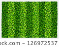 Green grass field background for sports and recreation. Realistic green lawn pattern and texture for background. Vector illustration. 126972537