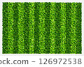 Green grass field background for sports and recreation. Realistic green lawn pattern and texture for background. Vector illustration. 126972538