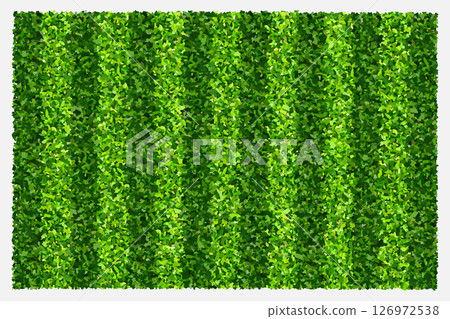 Green grass field background for sports and recreation. Realistic green lawn pattern and texture for background. Vector illustration. Green grass field background for sports and recreation. Realistic green lawn pattern and texture for background. Vector illustration. 126972538