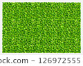Green grass field background. Texture of green lawn grass. Green grass seamless texture. Vector illustration. 126972555