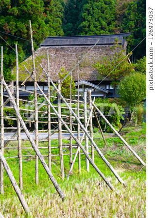 Thatched roof farmhouse in Kashiwazaki City, Niigata Prefecture 126973037
