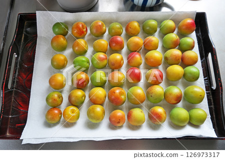 Preparation for making Umeboshi (washing, removing stems, drying) (Summer, June) Preparation for making Umeboshi (washing, removing stems, drying) (Summer, June) 126973317