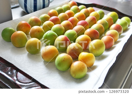 Preparation for making Umeboshi (washing, removing stems, drying) (Summer, June) Preparation for making Umeboshi (washing, removing stems, drying) (Summer, June) 126973320