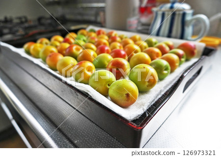Preparation for making Umeboshi (washing, removing stems, drying) (Summer, June) 126973321