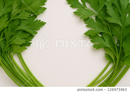 Fresh parsley pile with water drops top view 126973863