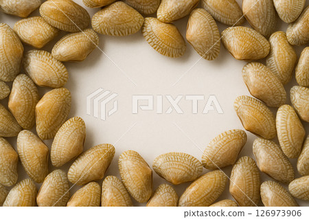 Fresh striped clams whole top view white 126973906