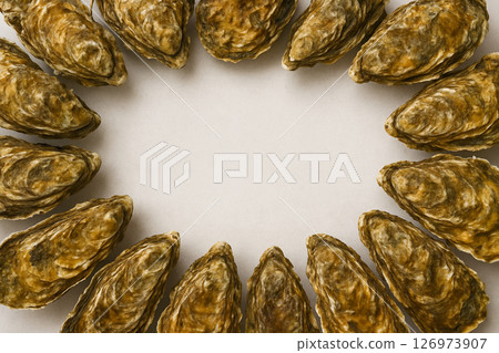 Fresh oysters whole top view white background 126973907